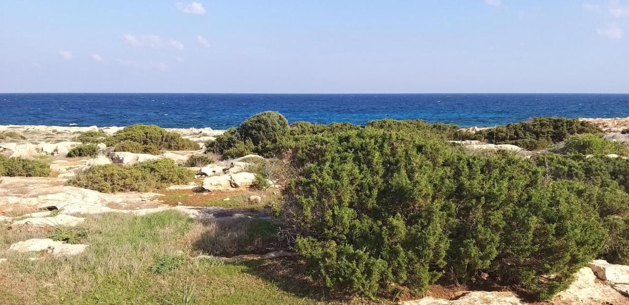 Mosaic Villa By The Sea Protaras Buitenkant foto
