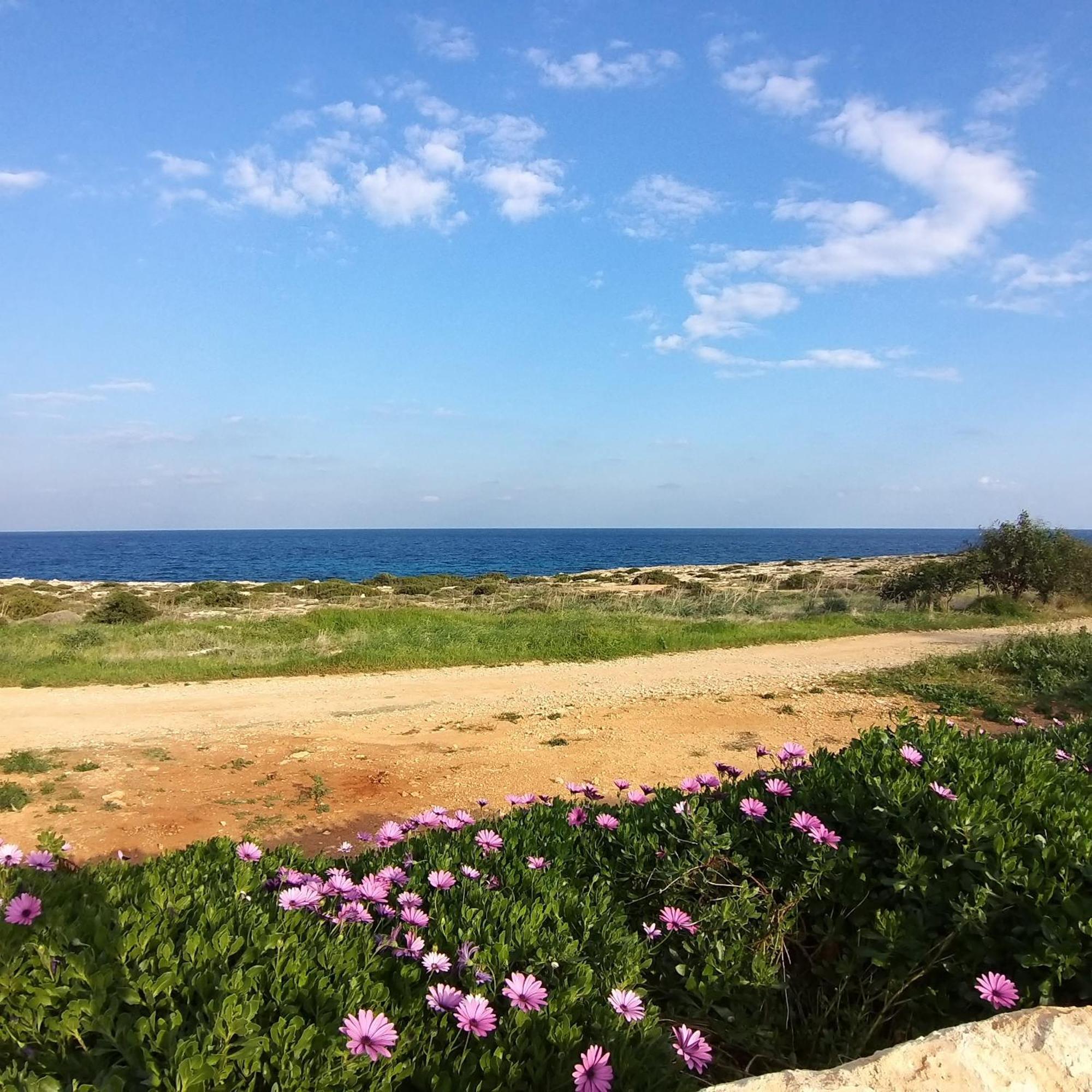 Mosaic Villa By The Sea Protaras Buitenkant foto
