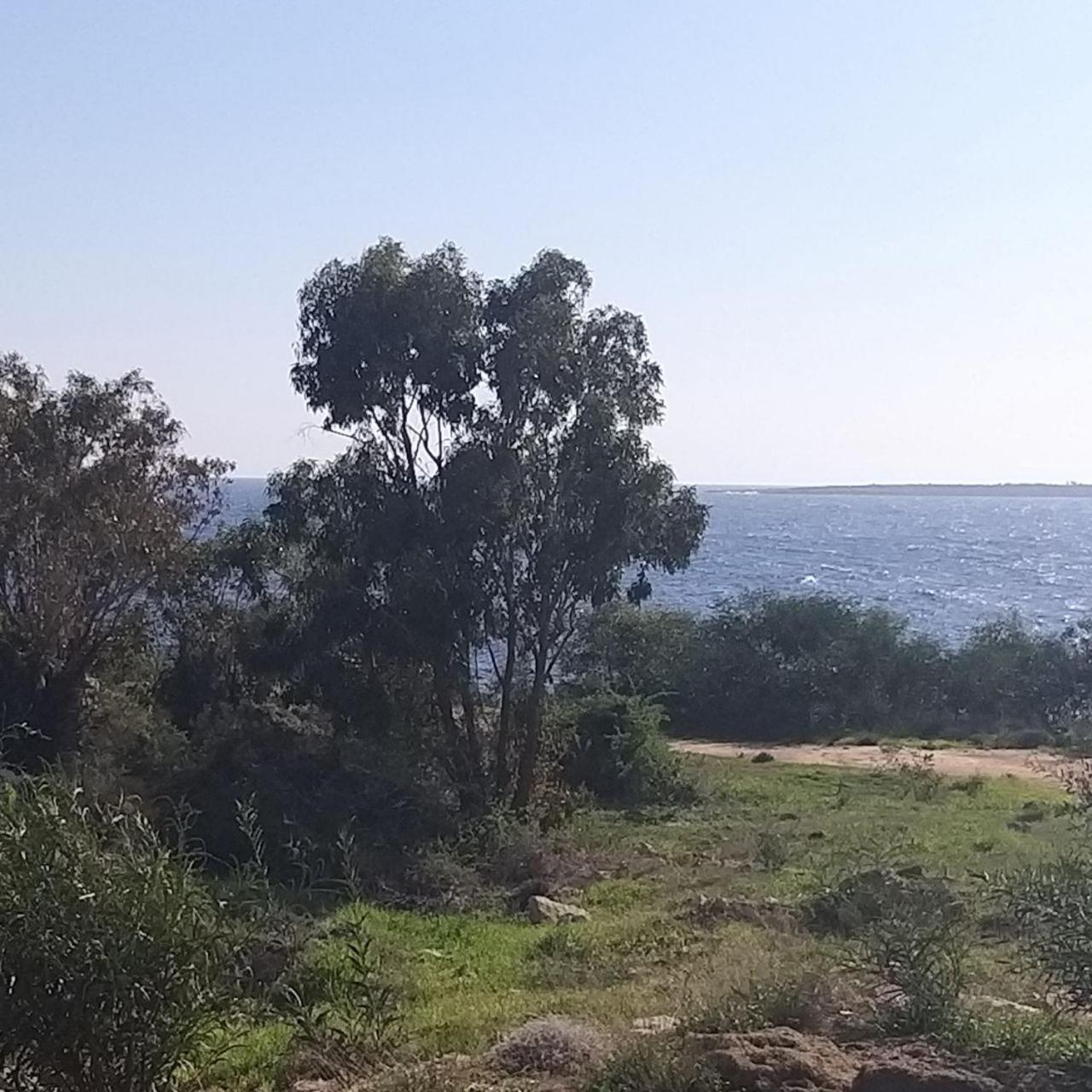 Mosaic Villa By The Sea Protaras Buitenkant foto